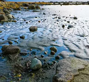Illustration of Alaska : les chantiers de l'extrême